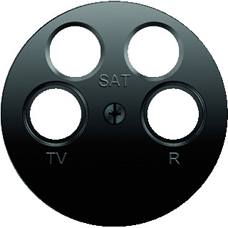 Berker Onderdeel/centraalplaat centraalplaat kunststof zwart