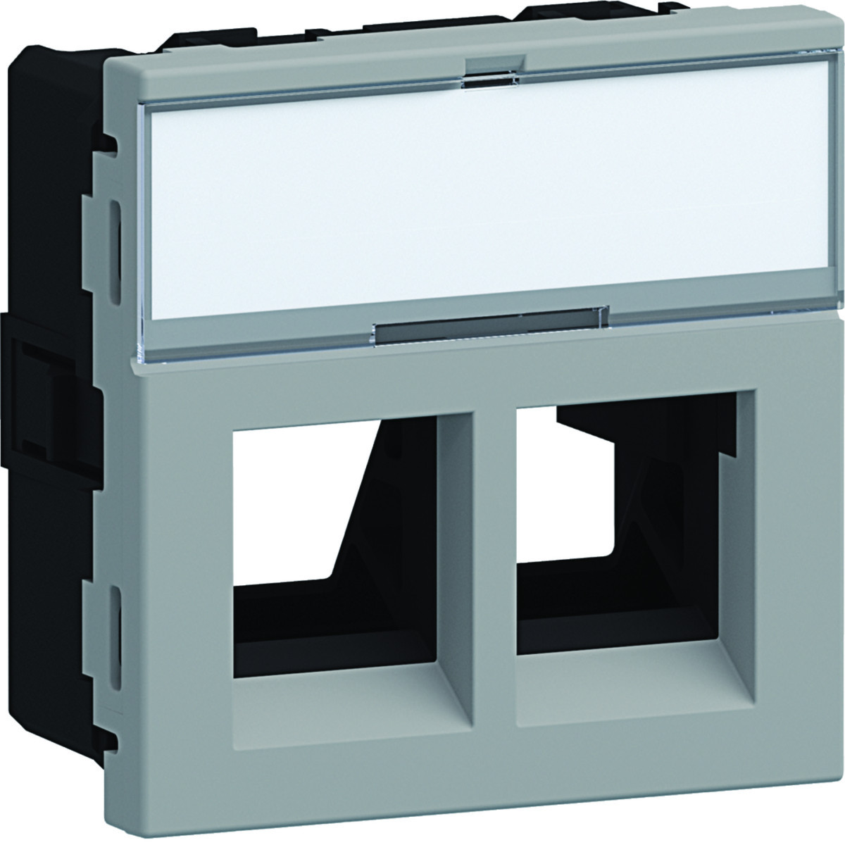 Hager Ecoline 45 Ecoline45 Inbouwset 2X RJ45 mod. jack type 01 45x45, alulook