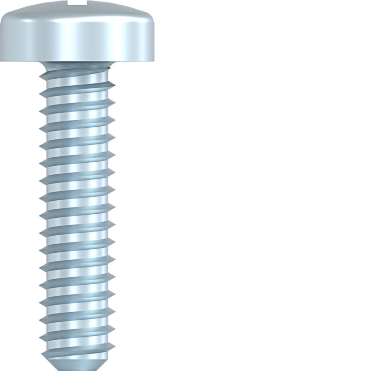 Hager Elektronica Anti-Diefstal schroef voor elektronische modules