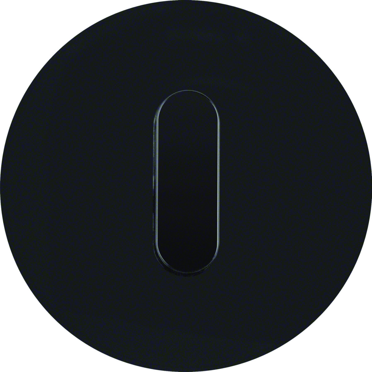 Hager Serie R.classic Afdekplaat Met knevel, serie R.classic, kunststof zwart