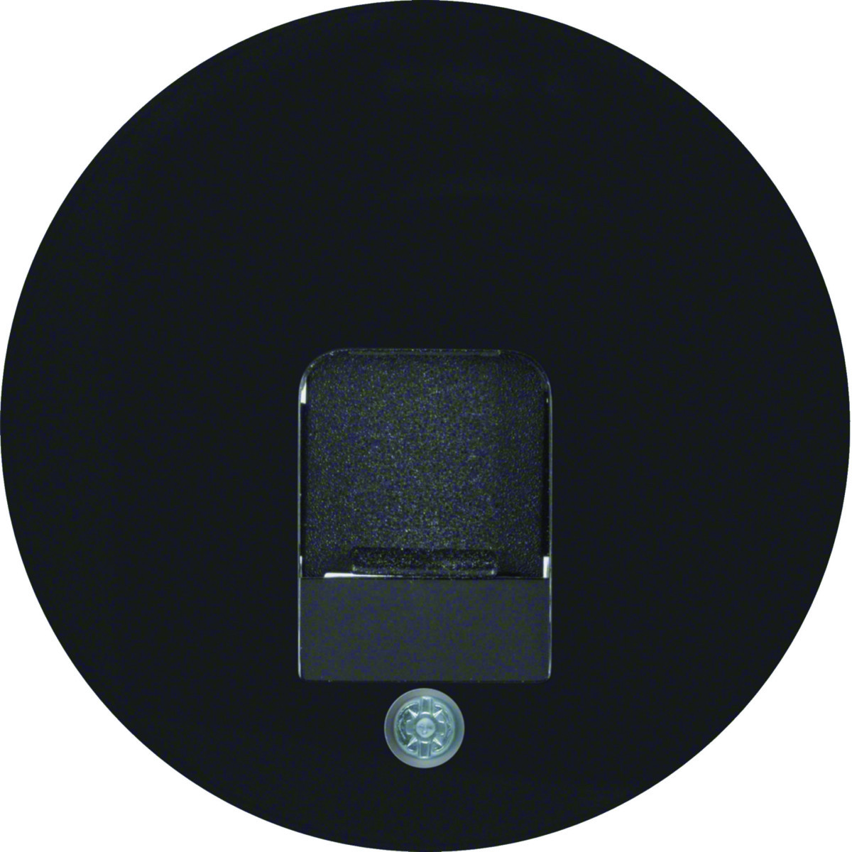 Hager Serie R.classic Centraaldeel RJ-datacont.DS. 1-V met stofscherming R.1/R.3/R.8, zwart