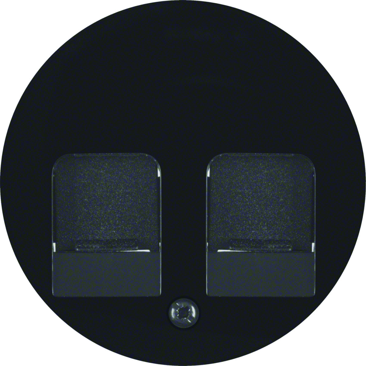 Hager Serie R.classic Centraaldeel RJ-datacontactdoos 2-V met stofschuif R.1/R.3/R.8, zwart