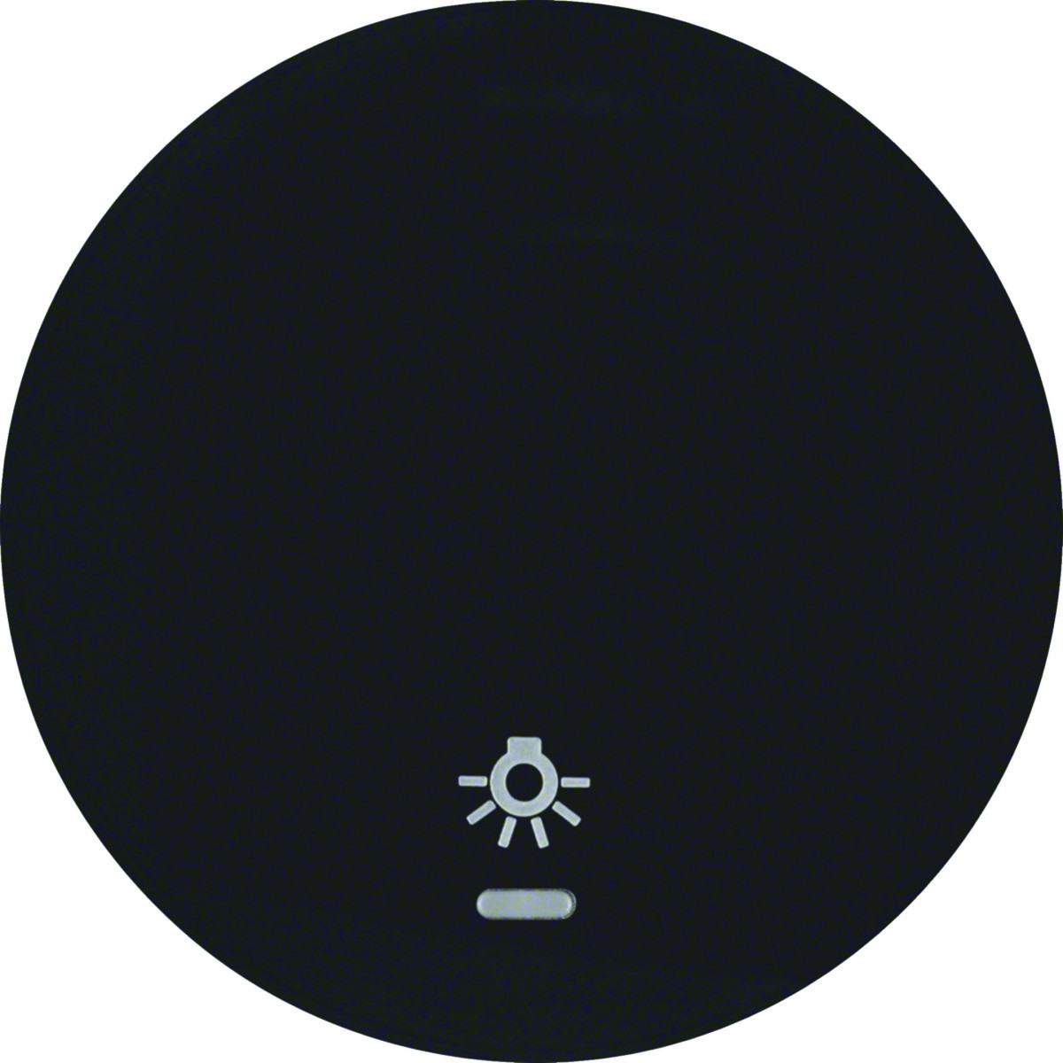 Hager Serie R.classic Wip Met lens en lichtsymbool, R.1/R.3/R.8, zwart