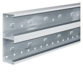 Hager Tehalit BRS, bodemprofiel 65x210 MM dubbel, 2 M, helderwit Hager Tehalit BRS, bodemprofiel 65x210 MM dubbel, 2 M, helderwit