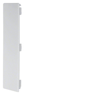 Hager tehalit LF/FB, eindplaat voor goot 60x230 MM, lichtgrijs