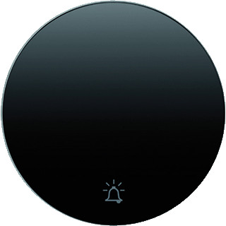 Berker R.1 enkele wip aan-/uit-schakelaar zwart