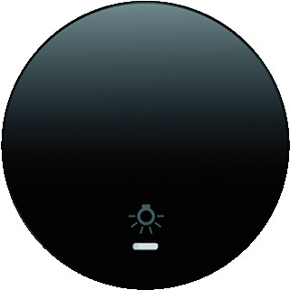 Hager Berker R.1/R.3/R.8 schakelwip met lens polarwit glanzend zwart