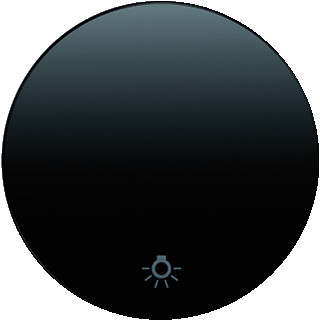 Berker R.1 enkele wip aan-/uit-schakelaar zwart