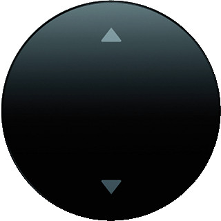 Berker R.1 enkele wip aan-/uit-schakelaar zwart