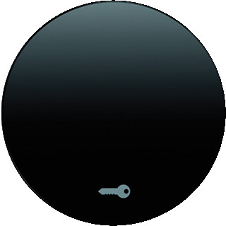 Berker R.1 enkele wip aan-/uit-schakelaar zwart