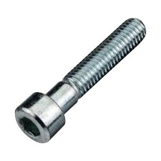 Hoenderdaal Binnenzeskantbout RVS-a2 cilinderkop m5x30