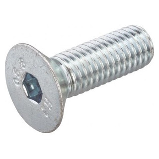 Hoenderdaal Binnenzeskantbout RVS-a2 platkop din7991 m6x30