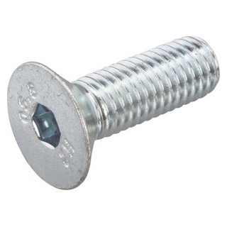 Hoenderdaal Binnenzeskantbout RVS-a2 platkop din7991 m6x20