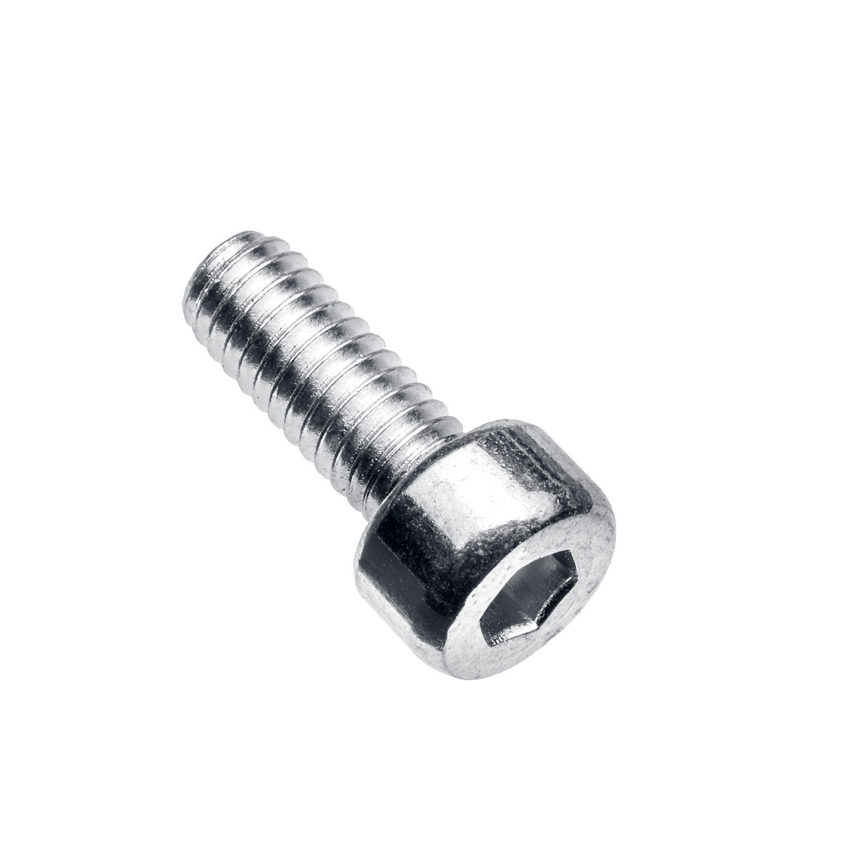 Intergas IMBUSBOUT M4X10  305137
