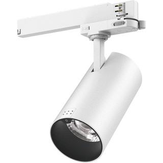 Interlight SPOT 30W 2700-6500K 36 W