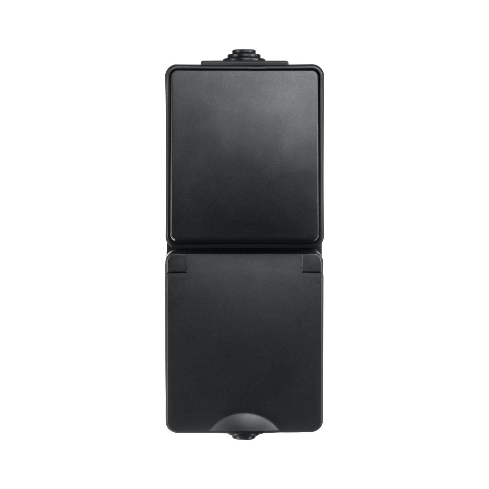 ION INDUSTRIES Opbouw Combinatie Verticaal Wandcon Opbouw Combinatie verticaal wandcontactdoos en wisselschakelaar ip55 Z