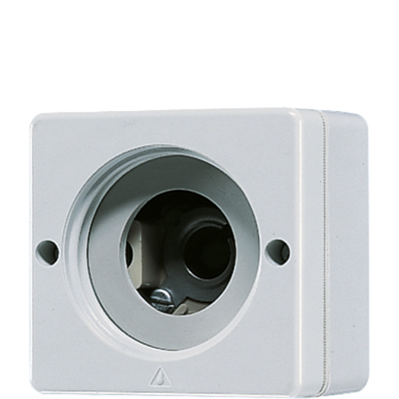 Jung WG 600 Lichtsgnaalinzet WG600 voor 637-e14