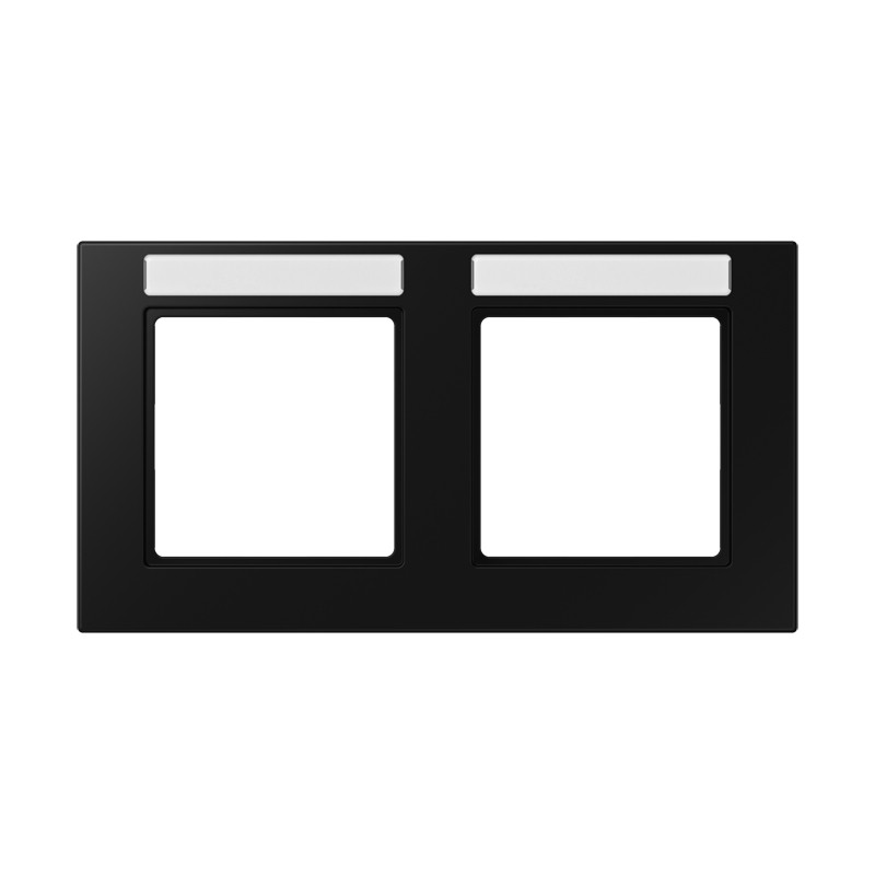 Jung A range / A 550 Afdekraam 2-voudig, met tekstvenster, A 550, thermoplast gelakt, grafi