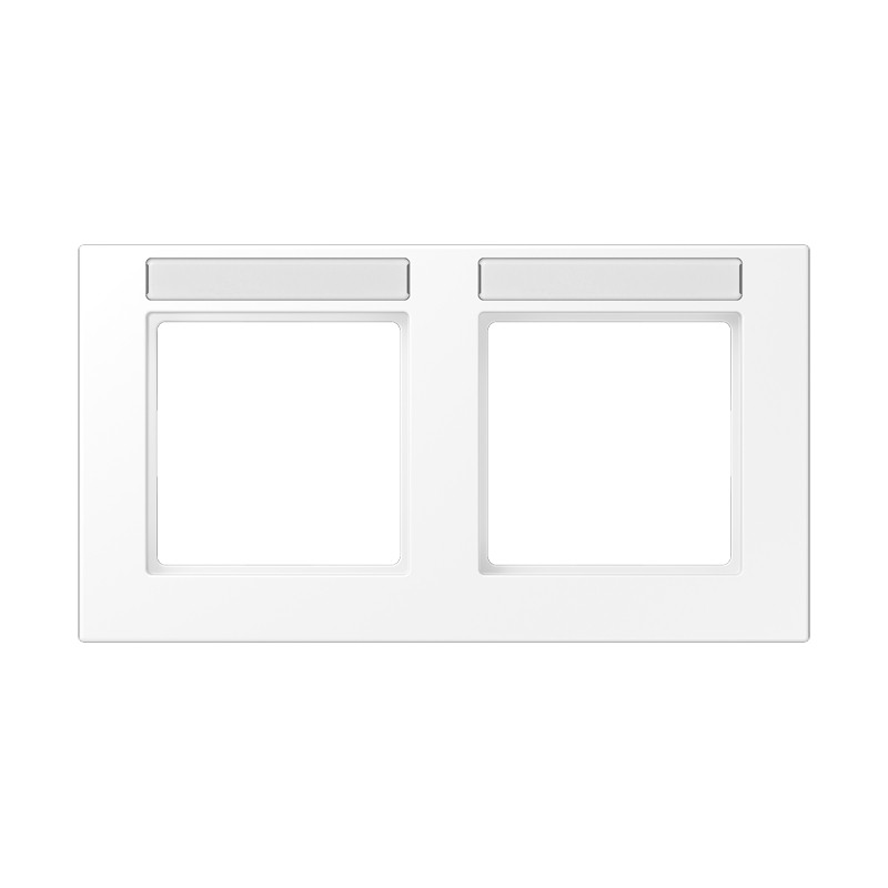 Jung A range / A 550 Afdekraam 2-voudig, met tekstvenster, A 550, thermoplast gelakt, sneeu