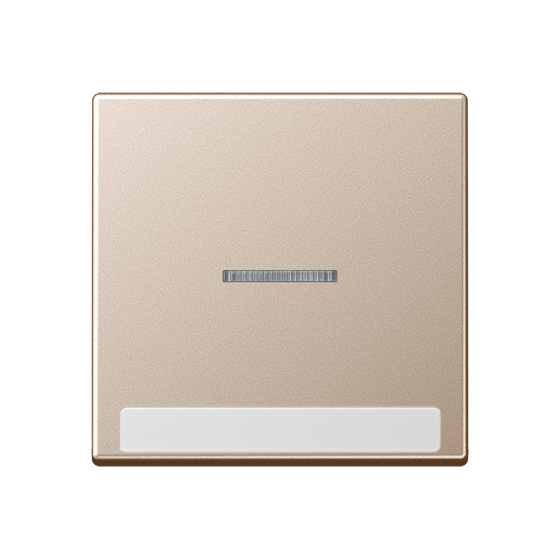 Jung A range Schakelw.A500 SL.V. tekstv. contr champ.