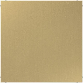 Jung LS range bedieningselement afdekking blindplaat messing