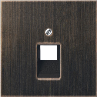 Jung LS range onderdeel/centraalplaat uae/iae metaal messing
