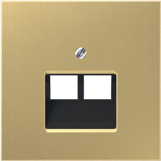 Jung LS range onderdeel/centraalplaat uae/iae metaal messing