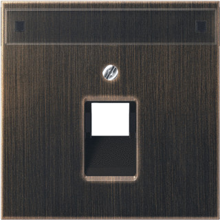 Jung LS range onderdeel/centraalplaat uae/iae metaal messing