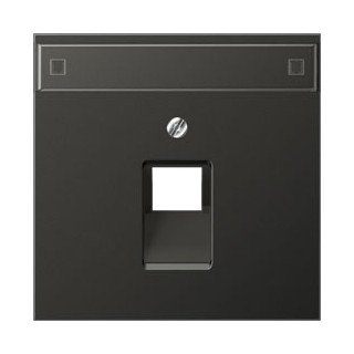 Jung Afdekking met tekstvenster 12x55 MM