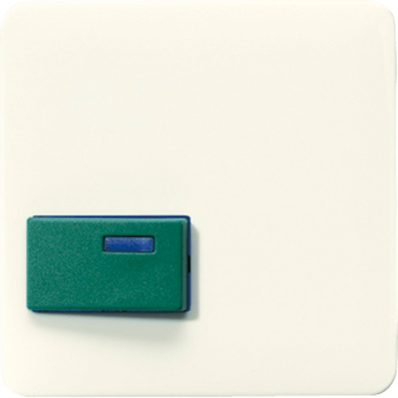 Jung Afdekking voor ackermann type 73642 C Jung Afdekking voor ackermann type 73642 C