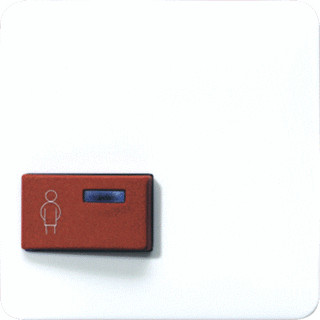 Jung Afdekking voor ackermann type 73022 A 2