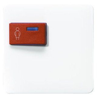 Jung Afdekking voor ackermann type 73073 F