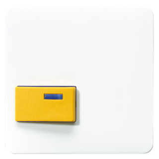 Jung Afdekking voor ackermann type 73642 D Jung Afdekking voor ackermann type 73642 D