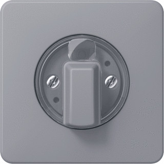 Jung CD range centraalplaat + knop voor timers CD500 draaiknop grijs