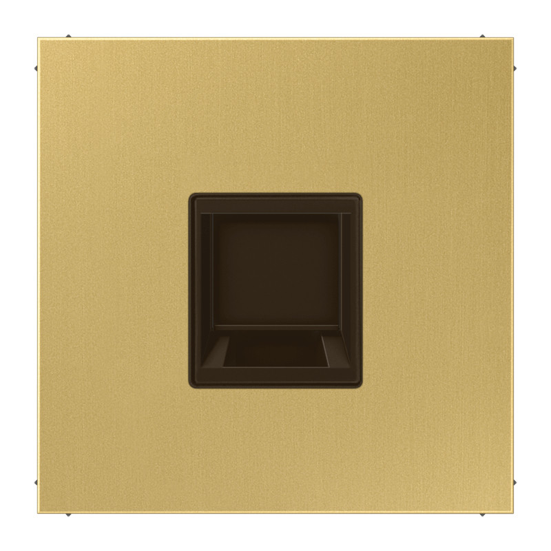 Jung LS range onderdeel/centraalplaat modular-jack metaal messing