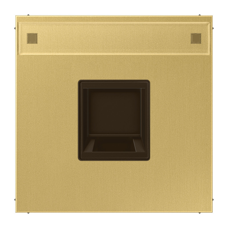 Jung LS range onderdeel/centraalplaat modular-jack metaal messing