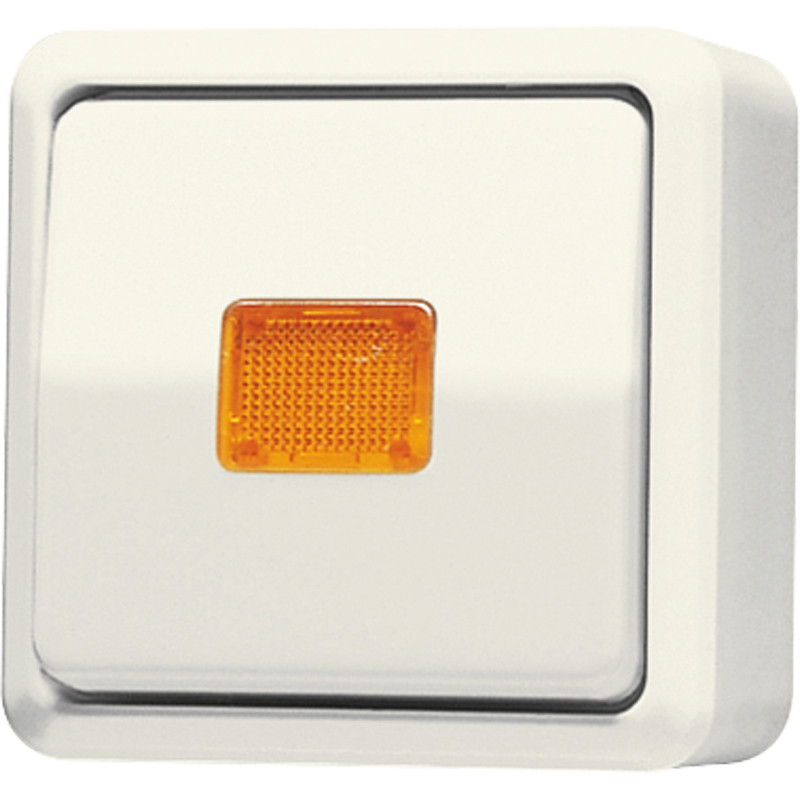 Jung AP 600 Wipcontroleschakelaar Ap600 wit wissel