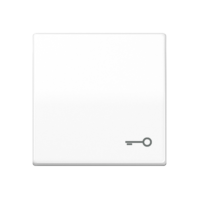 Jung AS range Schakelwip A(s) alpinwit SYMB.deur sil+