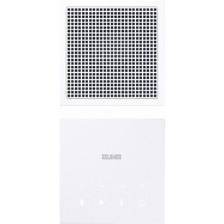 Jung Bluetooth connect-set mono