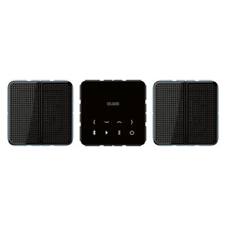 Jung Bluetooth connect-set stereo