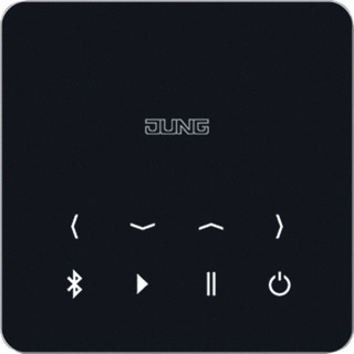 Jung Bluetooth connect-set stereo