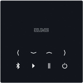 Jung Bluetooth connect-set stereo