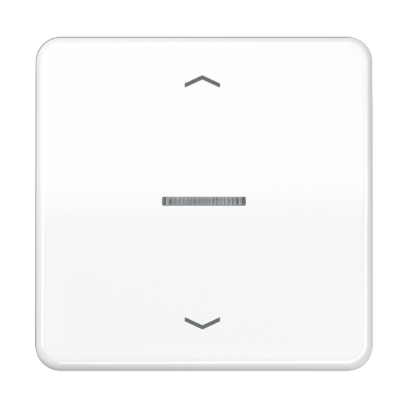 Jung CD range Home Stuurafd. CD 1V. alpinwit pijl