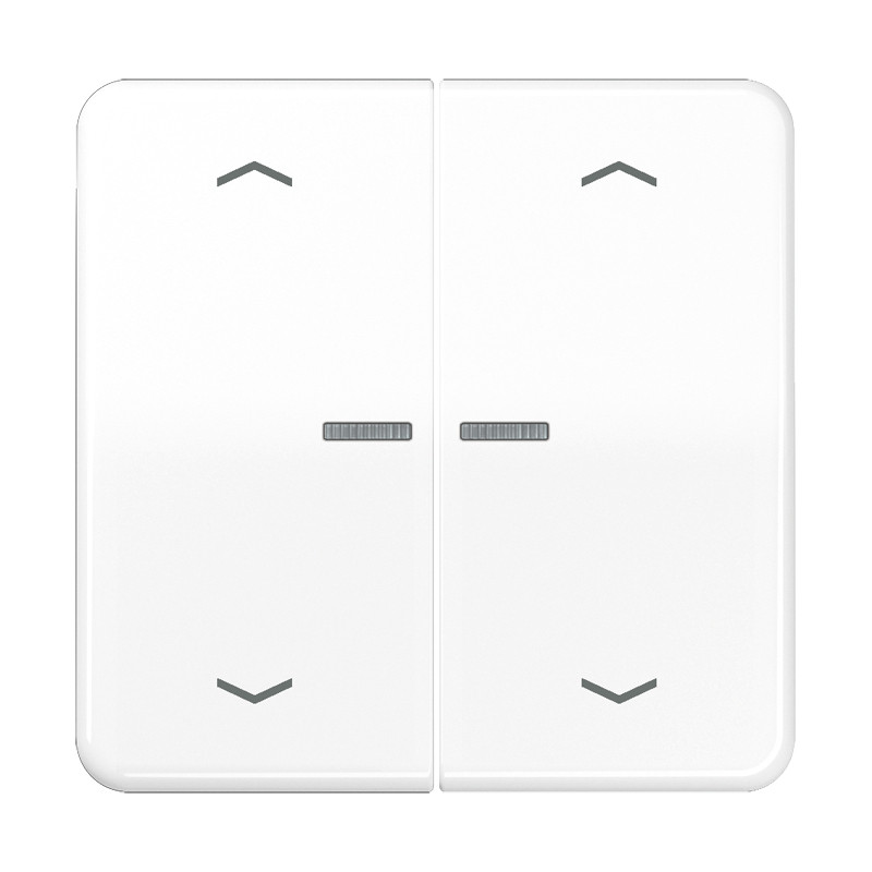 Jung CD range Home Stuurafd. CD 2V. alpinwit pijl