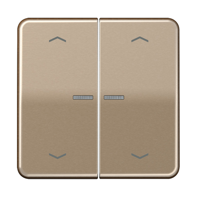 Jung CD range Home Stuurafd. CD 2V. goudbrons pijl