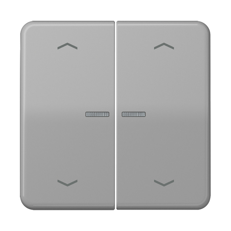 Jung CD range Home Stuurafd. CD 2V. groen pijl