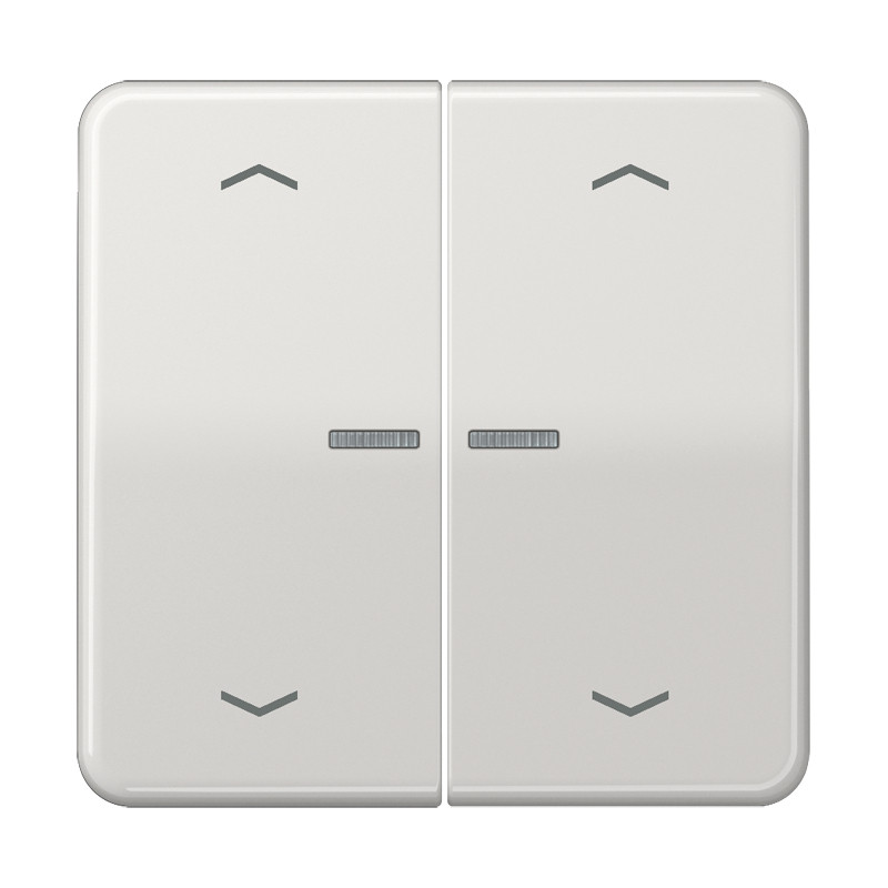 Jung CD range Home Stuurafd. CD 2V. lichtgrijs pijl