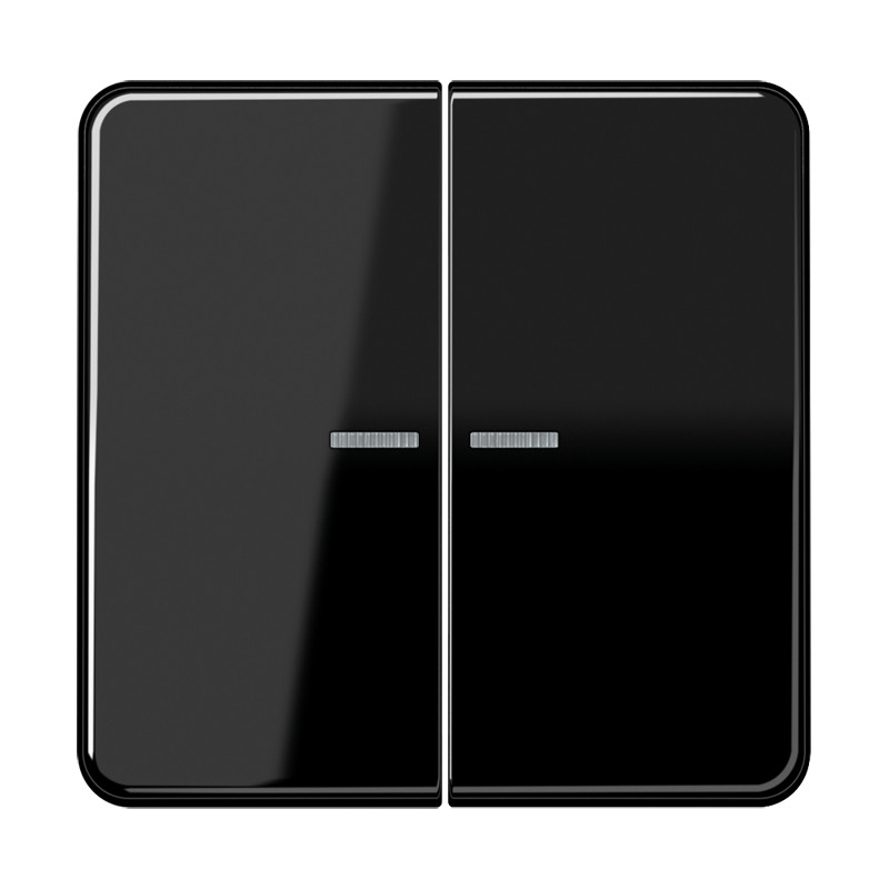Jung CD range Home Stuurafd. CD 2V. zwart