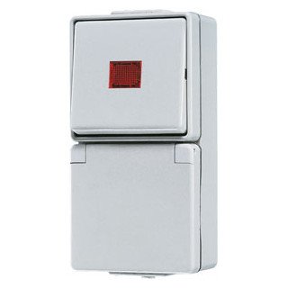 Jung Combinatie wandcontactdoos met beschermingscontact 16 A 250 V ~ / wipc