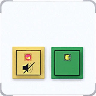 Jung Dienstkamerunit